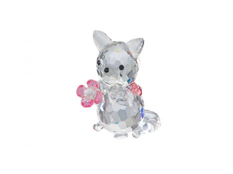 Kitten with Flower