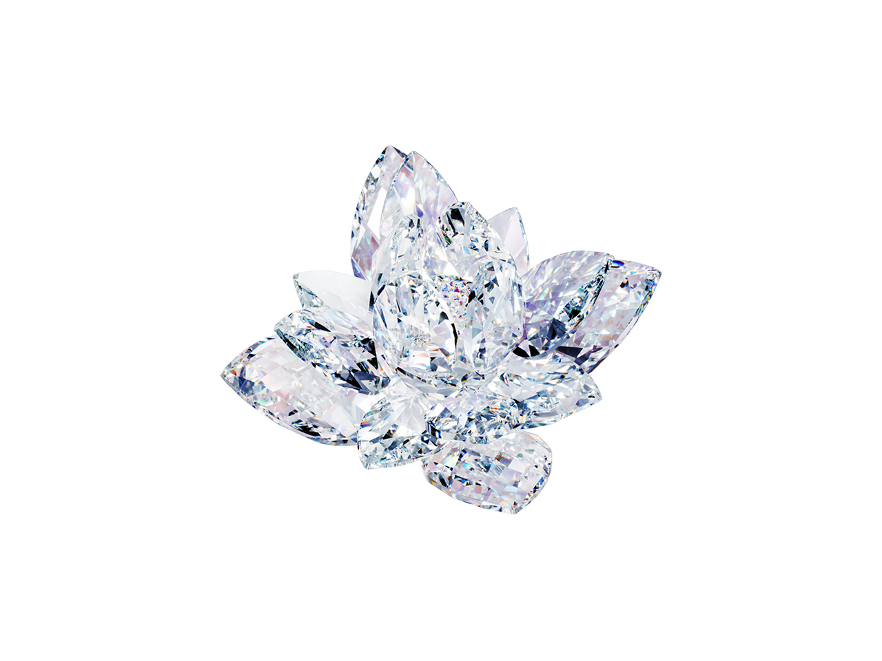 Magic Lily - medium